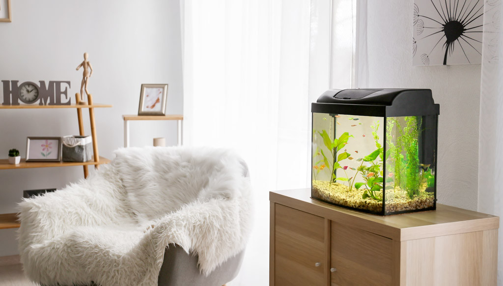 Acquariologia