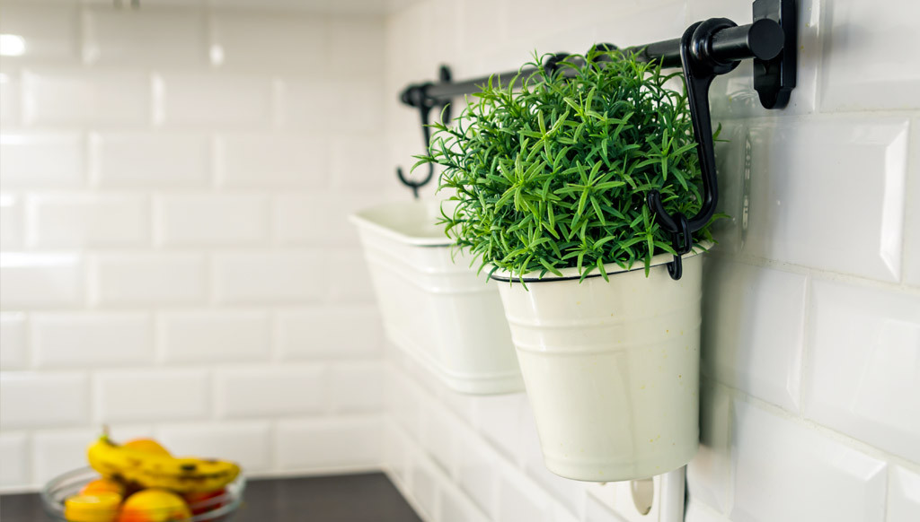 Prati e Piante artificiali